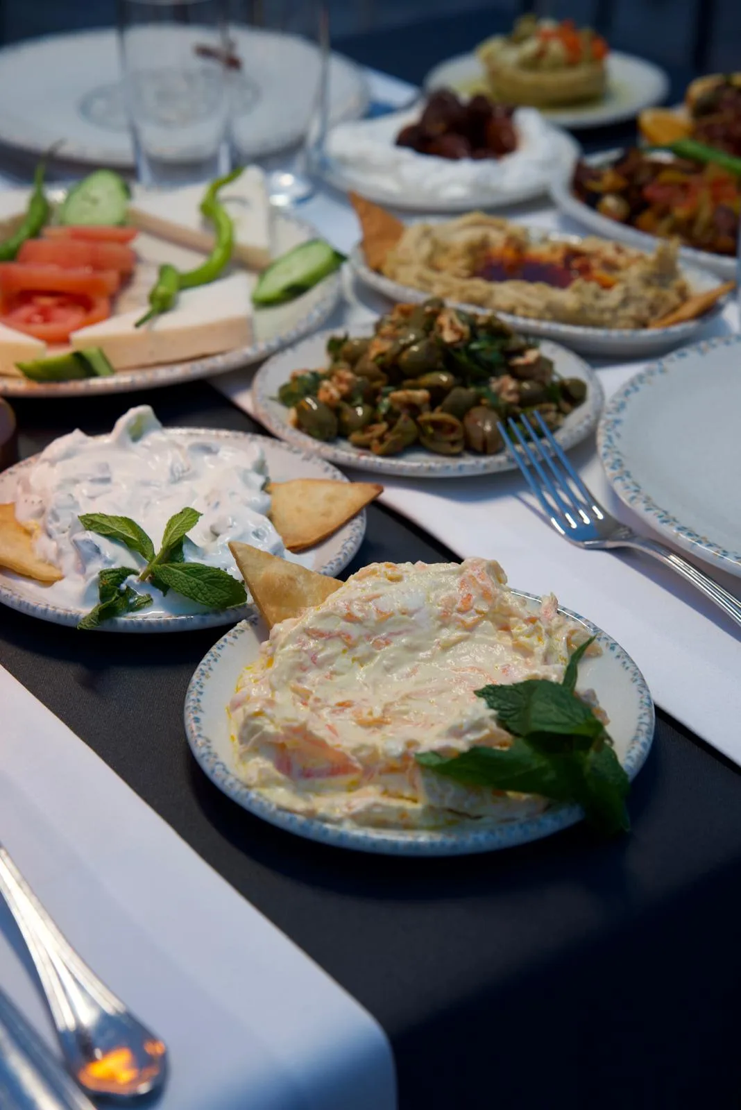 Haydari, humus ve zeytin salatası tabakları